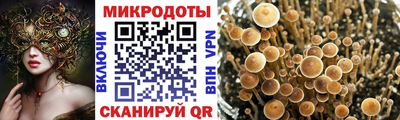 Псилоцибиновые грибы GOLDEN TEACHER купить наркотики сайты Котельнич